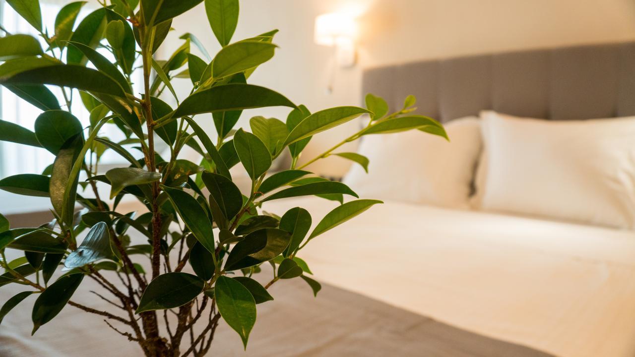 Costa Domus Blue Luxury Apartments Nikíti Eksteriør bilde